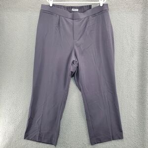 Catherines Right Fit Pants Curvy Straight Leg Size 20WP Gray NWT